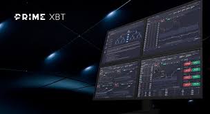 Comprehensive Review of the PrimeXBT Team Expertise and Innovation in Trading