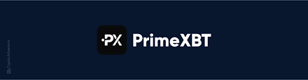Comprehensive Reviews of PrimeXBT Insights and Experiences
